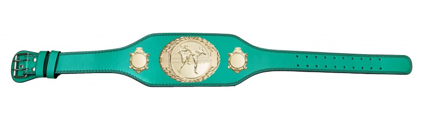 THAI BOXING CHAMPIONSHIP BELT-BUD295/G/TBOG-4 COLOURS